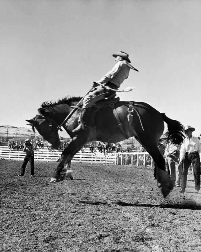 成年人,四个人,人群,牛仔,竖图,黑白,室外,白天,锻炼,快乐,风险,比赛,运动,竞争,哺乳动物,马,野生动物,美国,骑马,朦胧,模糊,竞技运动,古典,娱乐,骑,天空,动物,休闲,牛仔帽,力量,平衡,摄影,北美,北美洲,体育运动,美洲,挑战,美国文化,内华达州,北亚美利加洲,亚美利加洲,里诺,体育,危险,男人,健身,美利坚合众国,忍耐力,马上枪术比赛