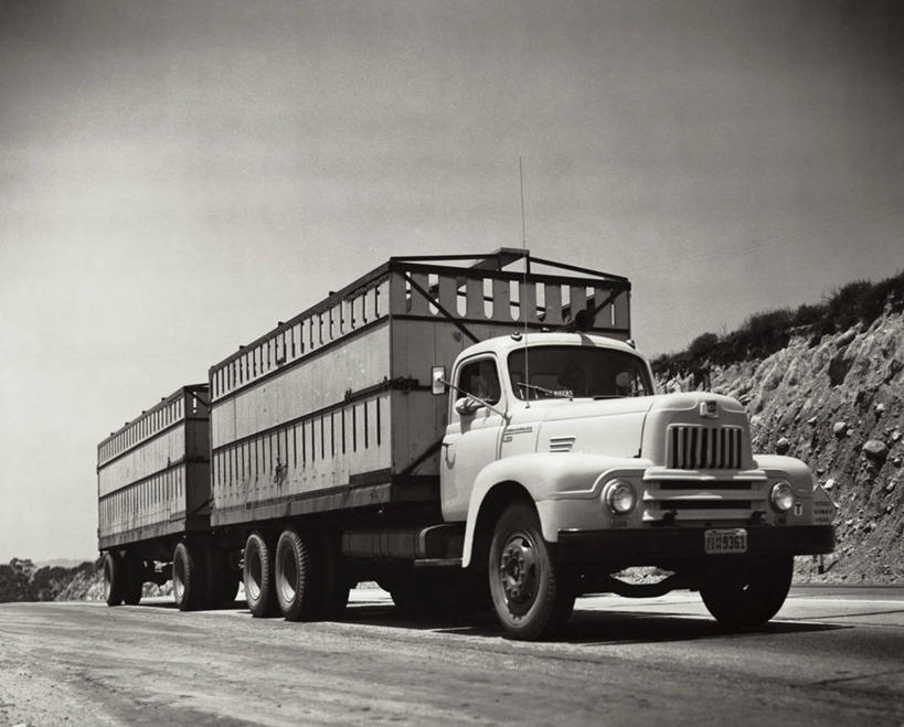 成年人,两个人,司机,坐,拉,横图,室外,白天,仰视,路,汽车,日光,阴影,陆地,集装箱,货柜,车,容器,箱子,交通工具,运输,角度,摄影,建造,载具,驾车,物流,前锋,男人,彩图,低角度拍摄,旅行,晕影,商用车