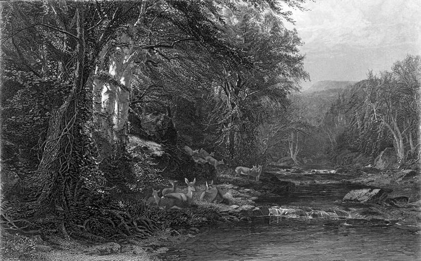 无人,横图,黑白,插画,室外,数码,科技,河流,森林,鹿,纽约,美国,阴影,网络,高光,几何,计算机图形,合成,图画,历史,画,树,风景,自然,电脑合成图,数码合成图,合成图,漫画,纽约州,写实,具体,具象,美术工艺,版画