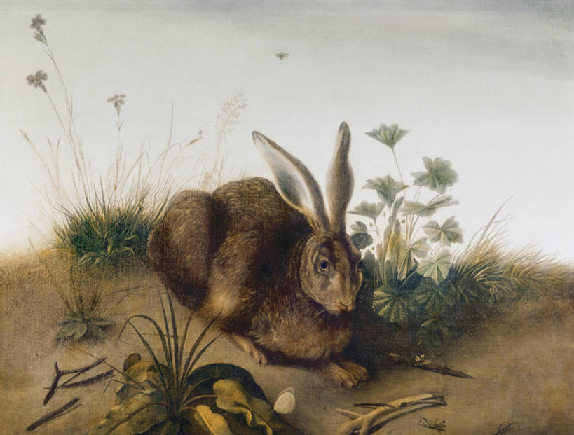 无人,坐,横图,插画,室外,绘画,数码,科技,野生动物,阴影,艺术,网络,高光,几何,计算机图形,古典,合成,图画,文化,画,草,自然,工艺品,品味,美术,电脑合成图,数码合成图,高雅,合成图,漫画,雪兔,写实,具体,具象,美学,美术工艺,彩图