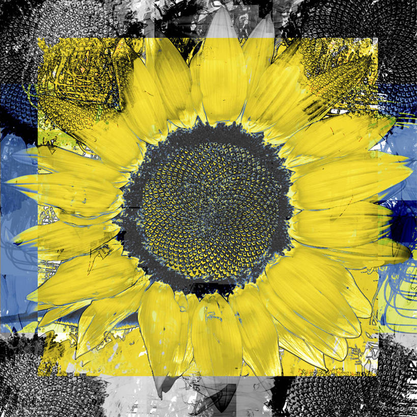 无人,方图,插画,抽象,蒙太奇,数码,科技,向日葵,阴影,网络,高光,几何,计算机图形,合成,图画,数码合成,画,黄色,生长,电脑合成图,数码合成图,脆弱,合成图,漫画,计算机制图,写实,具体,具象,想法,彩图