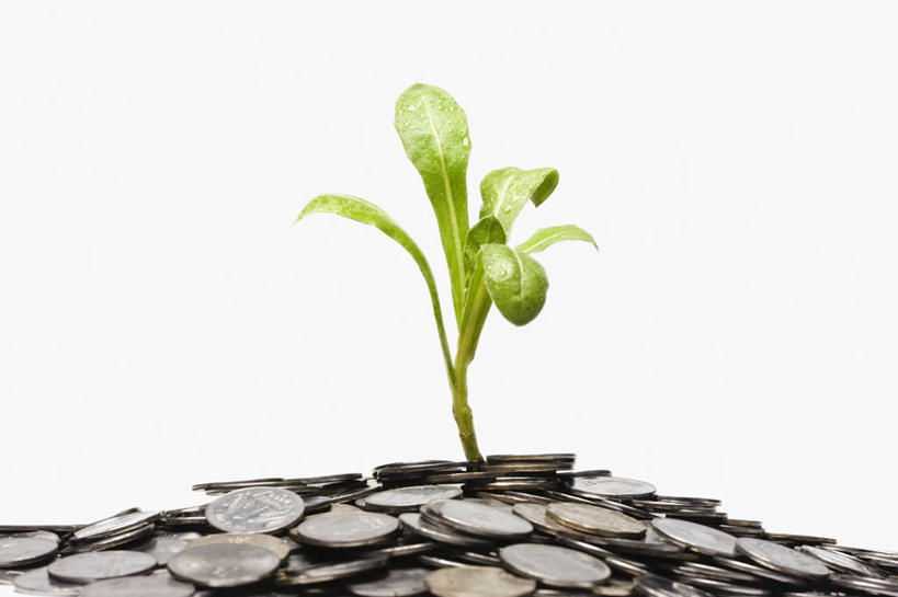 无人,横图,特写,白色背景,赚钱,植物,叶子,许多,堆叠,丰富,很多,储蓄,财富,投资,摄影,生长,部分,繁荣,想法,硬币,彩图,影棚拍摄