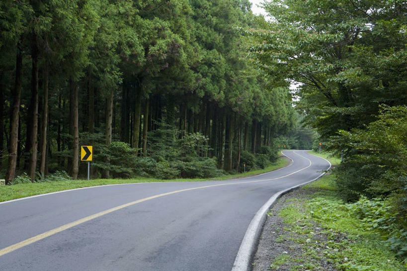 无人,横图,室外,白天,正面,旅游,度假,草地,草坪,美景,树林,植物,道路,路,指示牌,公路,阴影,曲折,弯曲,光线,标志,文字,影子,景观,分界线,停车线,交通,娱乐,标识,草,树,树木,一个,黄色,绿色,阳光,自然,享受,休闲,景色,放松,蜿蜒,生长,单个,成长,车行道,车行道分界线,自然风光,标线,车行线,常绿树,马路,针叶树,彩图,软材