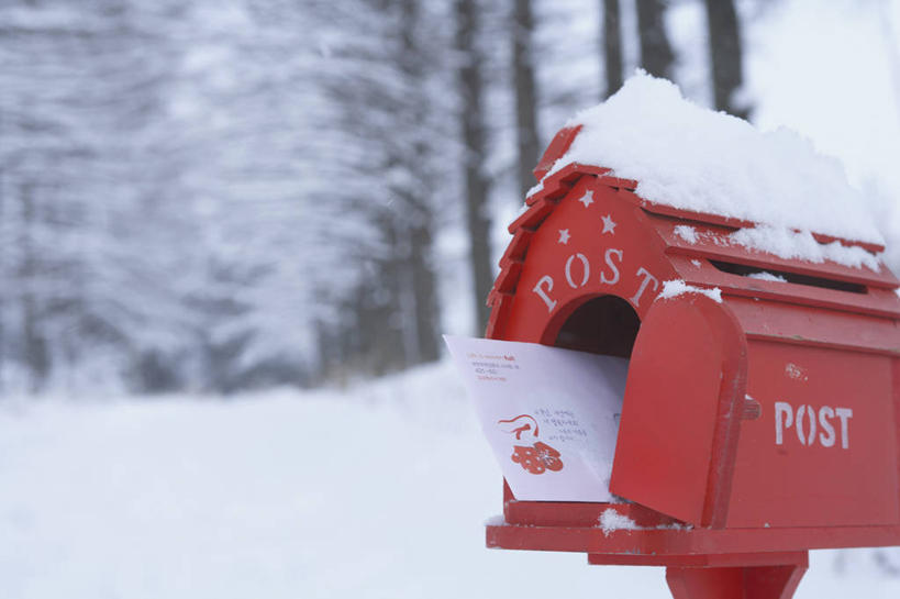 无人,横图,室外,特写,白天,正面,科技,雪,植物,大雪,阴影,朦胧,模糊,反射,传递,网络,信息,标志,符号,数字,文字,影子,邮件,积雪,雪景,冬季,冬天,联系,标识,邮筒,邮箱,树,树木,一个,红色,绿色,自然,寒冷,联络,邮递,通信,创意,生长,单个,成长,邮政,严寒,彩图