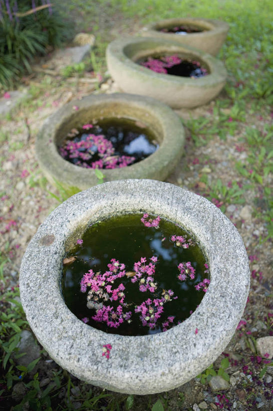 无人,竖图,俯视,室外,白天,草地,草坪,植物,一堆,阴影,堆叠,堆积,朦胧,模糊,盛开,光线,影子,陶瓷,陶瓷制品,花蕾,草,花,花瓣,花朵,鲜花,粉色,绿色,阳光,容器,花苞,花蕊,四个,储藏,堆,缸,储存,彩图,高角度拍摄,贮存