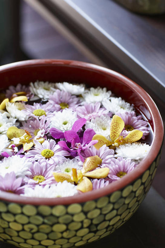 无人,竖图,俯视,室内,特写,白天,一堆,许多,阴影,堆叠,堆积,朦胧,模糊,盛开,反射,影子,陶瓷,陶瓷制品,很多,花蕾,花,花瓣,花朵,鲜花,一个,粉色,容器,花苞,花蕊,单个,储藏,堆,缸,储存,彩图,高角度拍摄,贮存