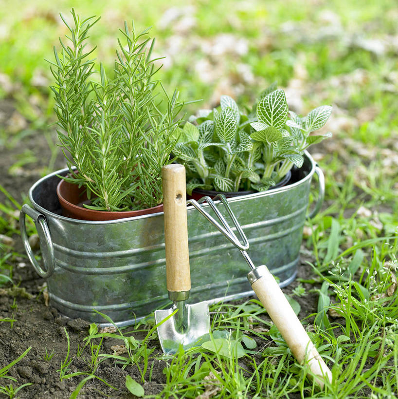 无人,竖图,俯视,室外,特写,白天,草地,草坪,植物,金属制品,一把,阴影,朦胧,模糊,光线,金属,叉子,铲子,盆栽,影子,盆景,草,一个,绿色,阳光,自然,生长,单个,成长,农具,耕具,彩图,高角度拍摄,干草叉,手铲