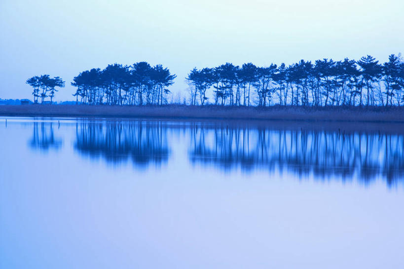 无人,横图,室外,白天,正面,旅游,度假,日出,湖,湖泊,美景,树林,水,太阳,植物,法国,欧洲,一排,整齐,湖面,景观,水流,水面,朝霞,晨曦,黎明,娱乐,树,树木,排列,绿色,倒影,阳光,自然,湖水,享受,休闲,景色,放松,生长,成长,倒映,西欧,队列,法兰西,自然风光,法兰西共和国,法兰西第五共和国,反照,南部.比利牛斯,南部.比利牛斯大区,塔恩省,朝阳,彩图,卯时,破晓,日始