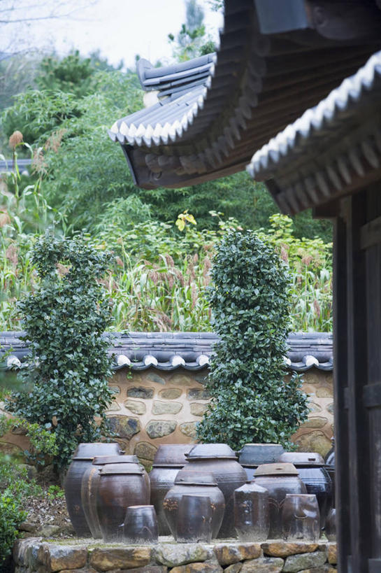 无人,家,竖图,室外,白天,正面,植物,建筑,瓦片,陶瓷,房屋,屋顶,屋子,陶瓷制品,顶棚,瓦,楼房,住宅,树,树木,绿色,天空,自然,容器,天,建造,生长,成长,储藏,缸,储存,屋瓦,彩图,房子,贮存