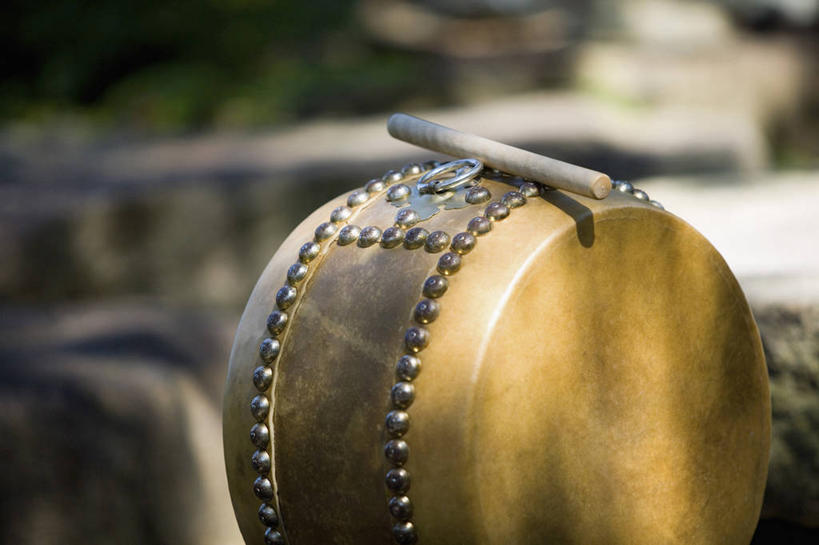 无人,横图,室外,特写,白天,正面,植物,阴影,朦胧,模糊,光线,棒子,棍子,影子,鼓,鼓棒,乐器,绿色,阳光,自然,生长,成长,打击乐器,鼓槌,彩图