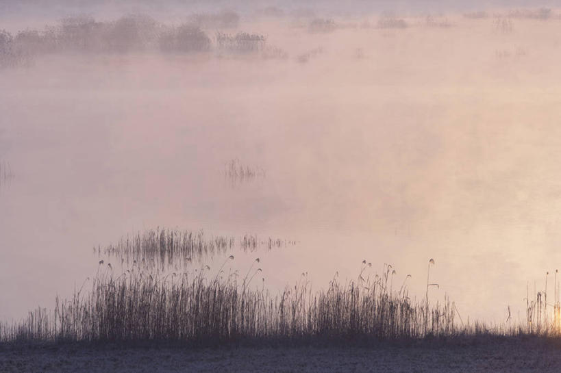 无人,横图,室外,白天,正面,旅游,度假,河流,美景,沙滩,水,芦苇,沙子,河岸,河水,河滩,景观,水流,沙地,娱乐,天空,自然,天,享受,休闲,景色,放松,自然风光,芦芛,芦,苇,彩图