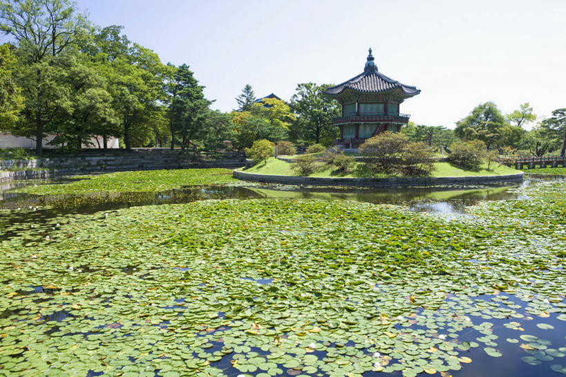 无人,宫殿,横图,室外,白天,正面,旅游,度假,草地,草坪,树林,植物,标志建筑,地标,建筑,景福宫,首尔,汉城,韩国,亚洲,阴影,光线,影子,亭子,屋顶,池塘,水池,首都,顶棚,娱乐,建设,草,树,树木,蓝色,绿色,蓝天,天空,阳光,自然,凉亭,天,享受,休闲,旅游胜地,放松,生长,晴朗,成长,东亚,万里无云,大韩民国,首尔市,首尔特别市,特别市,北阙,王宫,晴空,晴空万里,彩图