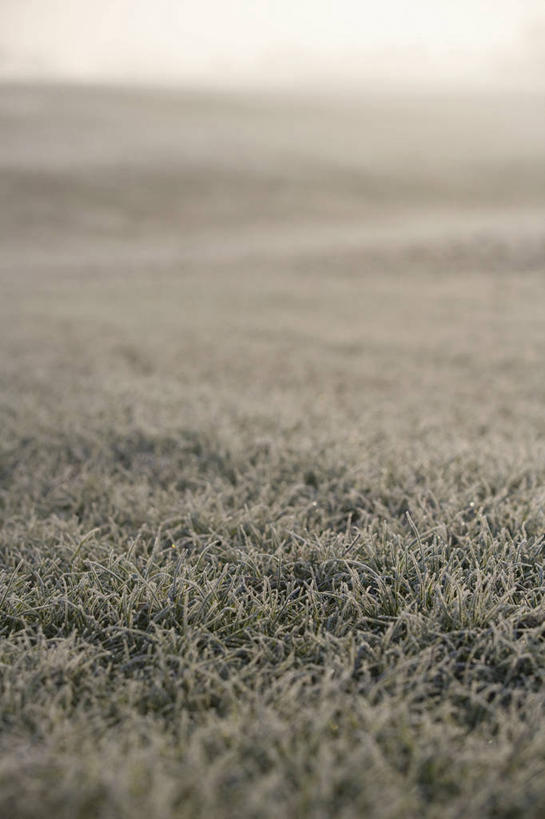 无人,竖图,室外,白天,正面,美景,植物,枯萎,朦胧,模糊,景观,枯草,草,黄色,天空,自然,天,景色,自然风光,彩图