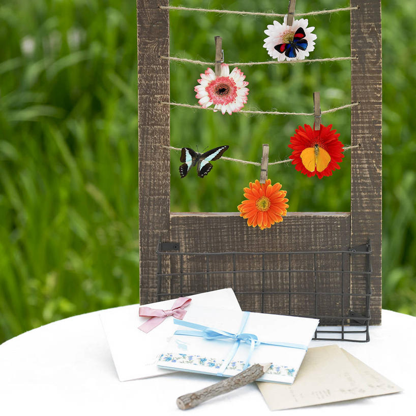 无人,竖图,室外,白天,正面,纯洁,草地,草坪,美景,植物,桌面,桌子,蝴蝶,金属制品,四朵,一排,阴影,朦胧,模糊,整齐,装饰,盛开,光线,金属,木制,昆虫,笔,丝绸,丝带,影子,景观,办公用品,缎带,贺卡,祝福,花蕾,文化,架子,绸带,文具,草,花,花瓣,花朵,鲜花,排列,粉色,黄色,绿色,阳光,自然,动物,蝴蝶结,夹子,卡片,木制品,绳子,学习用品,花苞,花蕊,两只,橘色,景色,可爱,童年,童趣,绳索,华丽,支撑,修饰,文具用品,固定,点缀,一支,队列,自然风光,礼仪,益虫,童真,祝愿,烂漫,无邪,衬托,美观,雅致,雅观,天真,彩图,全身