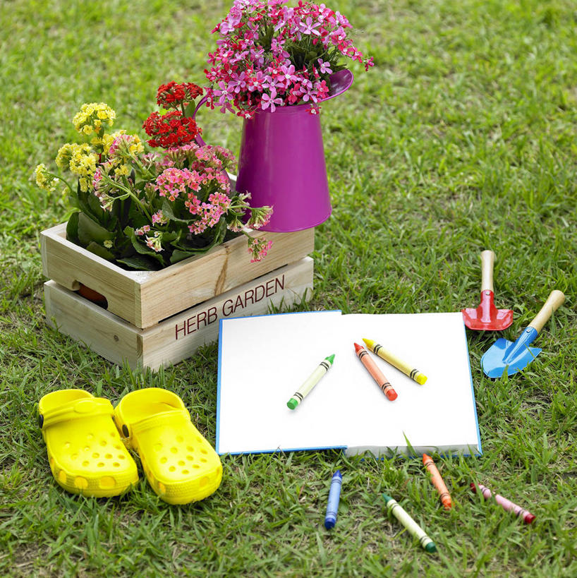 无人,竖图,俯视,室外,白天,智慧,草地,草坪,植物,花瓶,书籍,鞋子,金属制品,一双,阴影,艺术,光线,金属,木制,笔,铲子,蜡笔,影子,陶瓷,木箱,办公用品,陶瓷制品,两把,文化,文具,草,绿色,阳光,插花,木制品,瓶子,容器,学习用品,书本,箱子,拖鞋,储藏,文具用品,油画棒,插花艺术,创造,舒适,储存,创作,想象,方便,书,图书,彩图,高角度拍摄,手铲,贮存