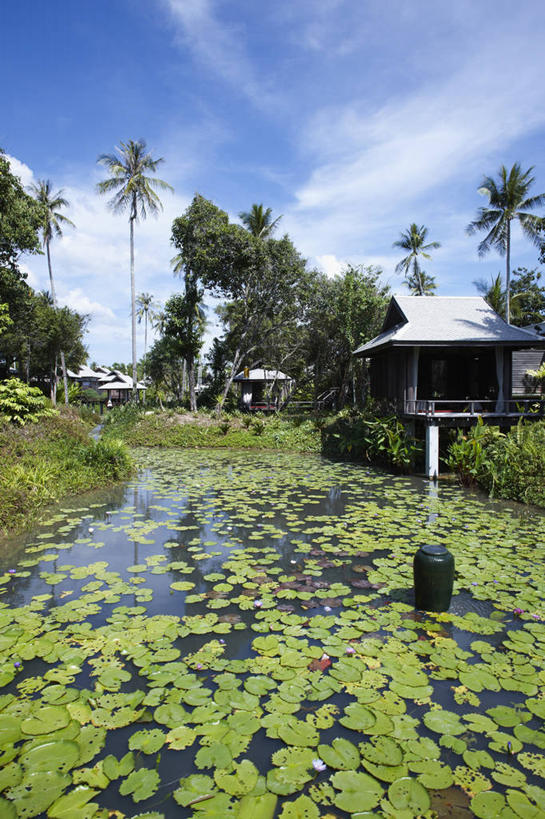 无人,家,木屋,竖图,室外,白天,正面,旅游,度假,草地,草坪,美景,植物,阴影,光线,影子,池塘,景观,水池,云,云朵,浮萍,云彩,娱乐,住宅,草,树,树木,蓝色,绿色,白云,蓝天,天空,阳光,自然,天,享受,休闲,景色,放松,生长,晴朗,成长,自然风光,水生植物,晴空,彩图,茅舍,茅屋,棚屋,小木屋,小屋,青萍