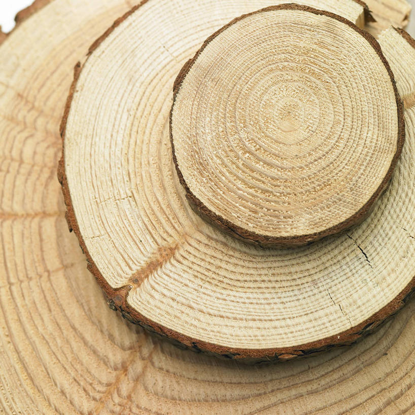 无人,竖图,俯视,室内,特写,白天,静物,阴影,反射,木材,影子,圆环,圆圈,年轮,木柴,木料,年龄,环状,周期,年数,彩图,高角度拍摄