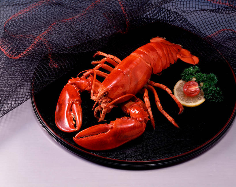 海鲜,无人,横图,俯视,室内,特写,白天,餐桌,桌子,餐具,阴影,反射,碟子,盘,影子,肉,虾,水产,肉类,海洋生物,一个,红色,黑色,盘子,碟,对虾,单个,餐台,虾肉,水生动物,海产品,水生物,肉食,海底动物,彩图,高角度拍摄,全身