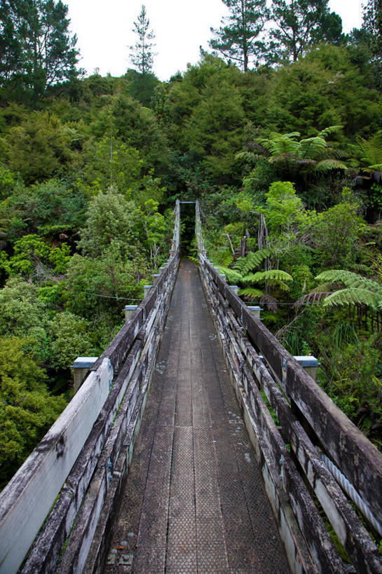 无人,栏杆,竖图,室外,白天,正面,消失点,旅游,度假,草地,草坪,美景,植物,大理,中国,亚洲,阴影,光线,木板,影子,景观,围栏,桥,木桥,娱乐,护栏,云南,栈桥,草,树,树木,绿色,天空,阳光,自然,天,享受,休闲,景色,放松,生长,成长,人行桥,木板桥,自然风光,东亚,云南省,中华人民共和国,西南地区,滇,大理州,大理白族自治州,彩图,没影点,灭点