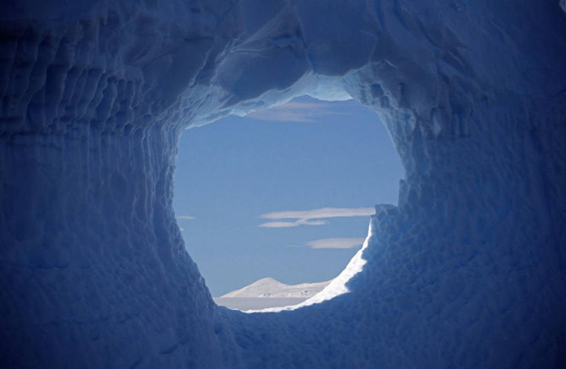 无人,竖图,哺乳动物,企鹅,野生动物,一群,许多,鸟类,很多,自然,动物,摄影,幽默,考古学,南极洲,南设得兰群岛,彩图