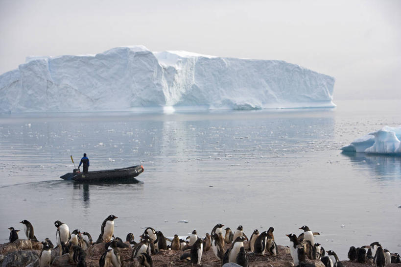 导游,横图,室外,探险,冰山,日出,海洋,水,船,漂浮,冰,黎明,寒冷,摄影,气象,气候,客船,南极洲,冰河,南极半岛,彩图,旅行,海港,西南极洲,半岛,南冰洋,充气艇,淡水