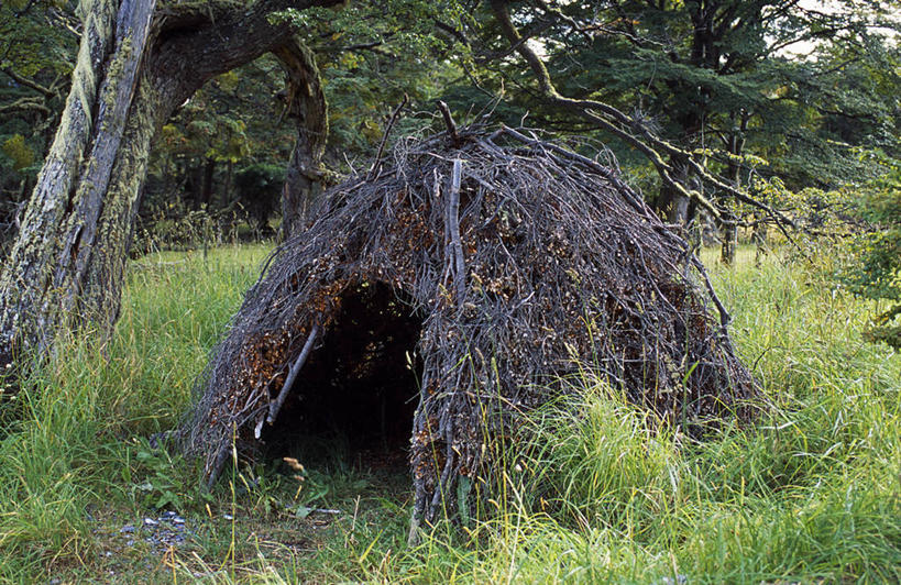 无人,横图,阿根廷,房屋,枝,南美,摄影,住房,嫩枝,重建,火地群岛,彩图