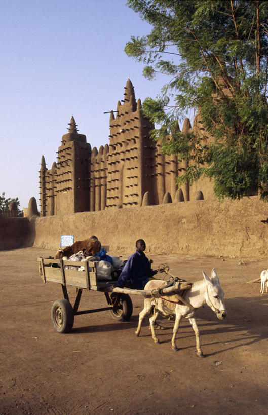儿童,广场,竖图,城市,建筑,非洲,马里,风景,地标建筑,运输,摄影,宗教,伊斯兰教,清真寺,肖像,大清真寺,驴车,西非,男孩,彩图,旅行,联合国教科文组织