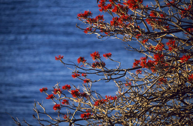 无人,横图,建筑,日光,非洲,马里,地标建筑,个性,摄影,宗教,泥,伊斯兰教,宗教建筑,清真寺,大清真寺,西非,彩图,联合国教科文组织
