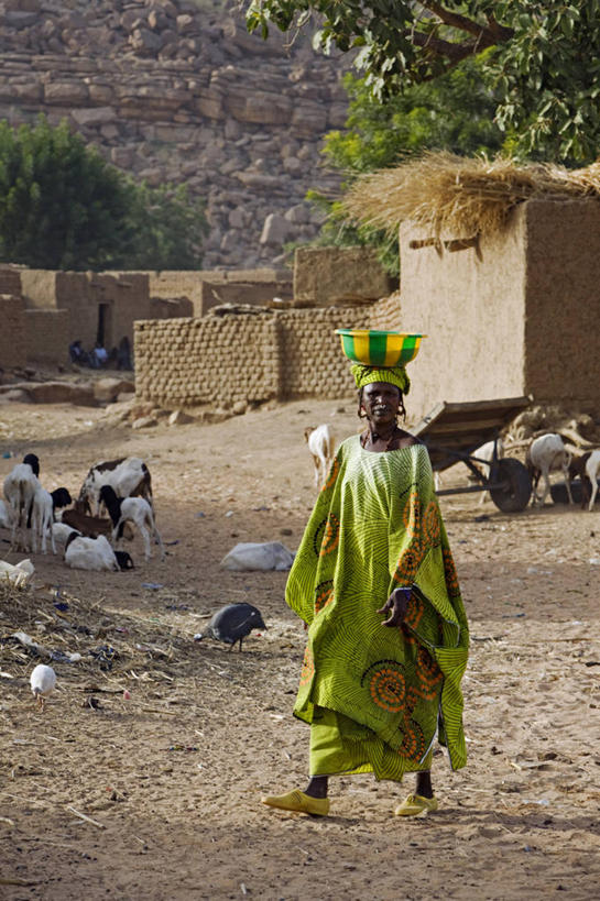 成年人,一个人,竖图,彩色,珠宝,非洲,马里,仅一个女性,头巾,头饰,乡村,衣服,绿色,动物,发饰,社区,模仿,摄影,牲畜,五颜六色,色彩斑斓,种族,鼻钉,五彩缤纷,珍珠鸡,五彩斑斓,耳饰,西非,五光十色,女人,山羊,彩图,传统文化