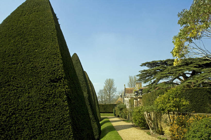 无人,博物馆,横图,室外,旅游,植物,建筑,英国,欧洲,正装,房屋,首都,宏伟,历史,英格兰,地标建筑,夏天,摄影,复杂,住房,华贵,英国文化,多塞特郡,彩图,旅行,西南英格兰,上层阶级,景观设计