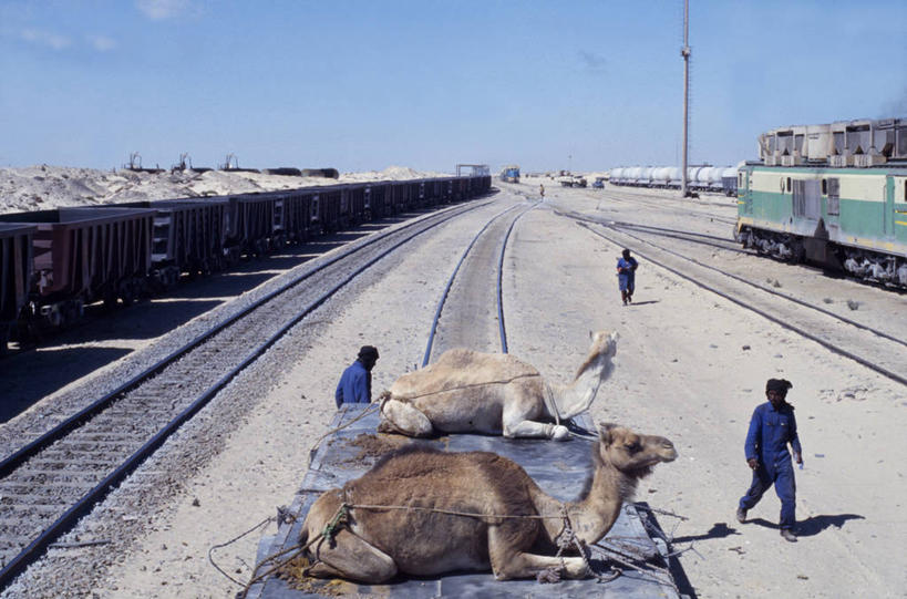 码头,横图,港口,路,铁路,火车,非洲,毛里塔尼亚,商品,轨道,集装箱,交通,铁轨,货柜,车厢,骆驼,容器,箱子,职业,运输,摄影,牲畜,灰尘,货运,贸易,物流,彩图,摆渡口,埠头,渡口,渡头,港湾,海港,货运码头,口岸,商港,商用车