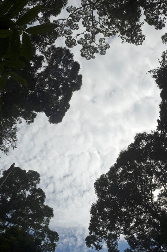 成年人,老年人,两个人,竖图,帽子,马来西亚,亚洲,饮料,衣服,摄影,东南亚,婆罗洲,加里曼丹岛,婆罗洲岛,哥打基纳巴卢,马来西亚联邦,沙巴州,老年男性,男人,彩图,咖啡馆,传统文化,马来文化