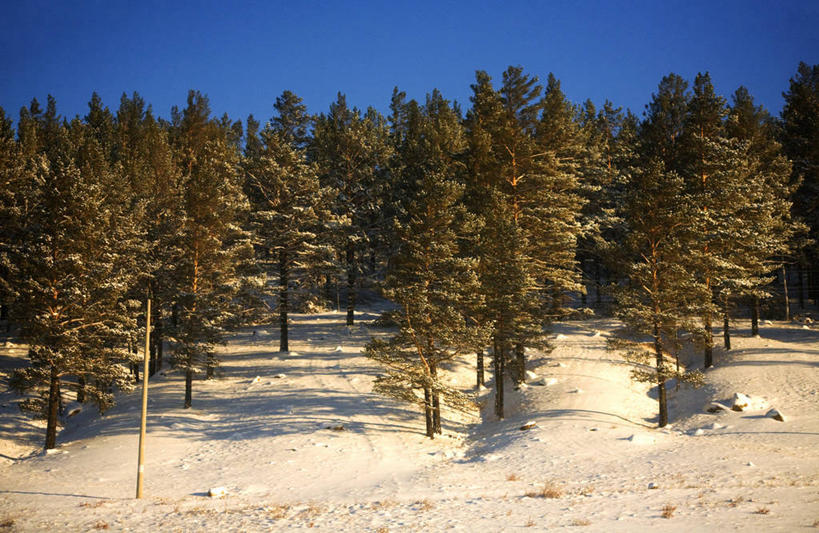 无人,横图,室外,旅途,雪,路,铁路,火车,欧洲,俄罗斯,亚洲,冬天,轨道,交通,铁轨,北,树,运输,摄影,西伯利亚,针叶林,俄联邦,俄罗斯联邦,伊尔库茨克,伊尔库茨克州,东西伯利亚,彩图,旅行,西伯利亚铁路,独联体,乌拉尔山脉