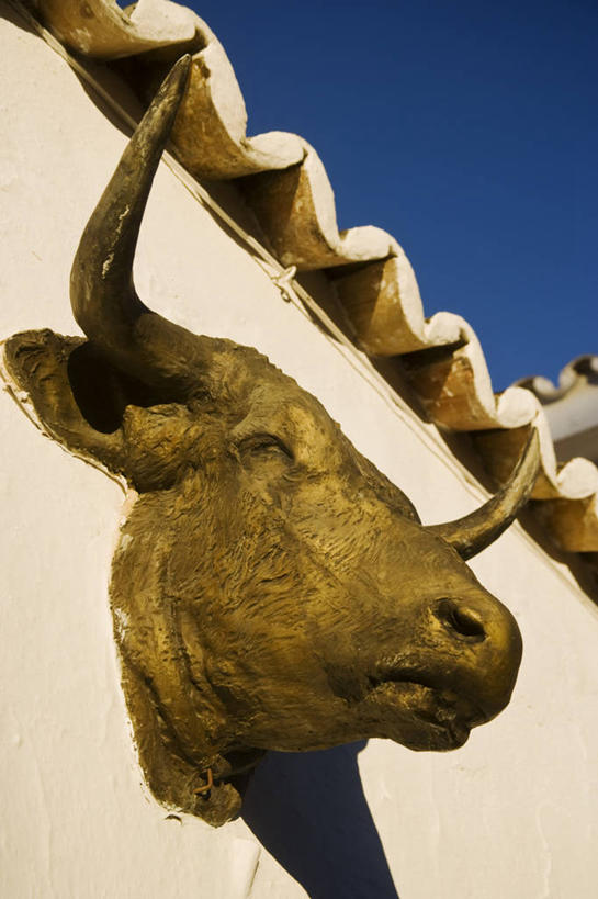 竖图,室外,旅游,度假,海洋,街道,西班牙,欧洲,行人,游客,游人,路人,旅客,摄影,安达路西亚,过客,马贝拉,海滩,步行,彩图,旅行