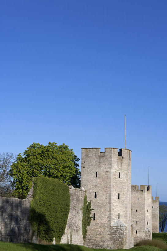 无人,竖图,城市,瑞典,欧洲,城堡,岛,围墙,中世纪,历史,城墙,地标建筑,力量,摄影,保护,斯堪的纳维亚,要塞,斯堪狄纳维亚半岛,维斯比,彩图,旅行,波罗的海三国,传统文化,联合国教科文组织