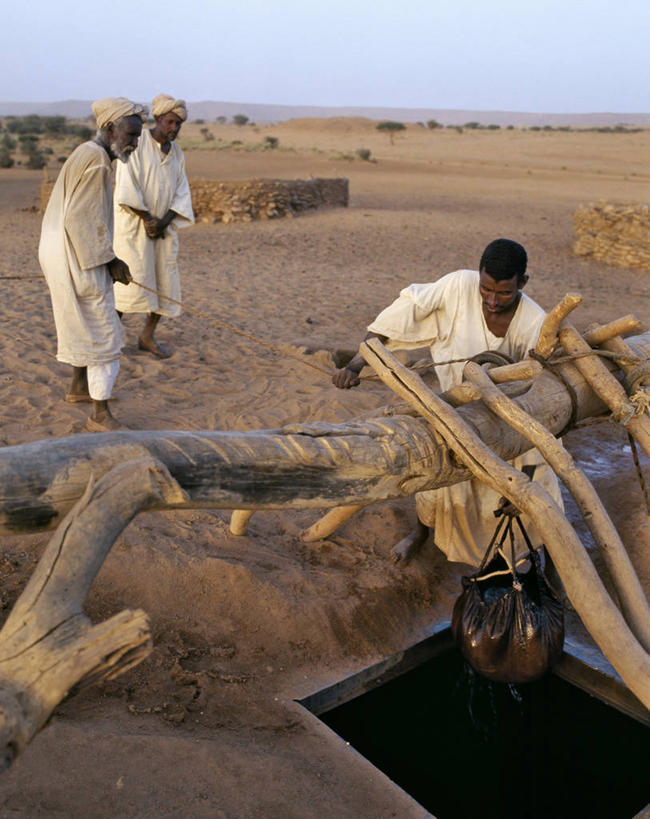 成年人,竖图,室外,沙漠,水,苏丹,首都,摄影,井,伊斯兰教,收集,撒哈拉沙漠,喀土穆,男人,彩图