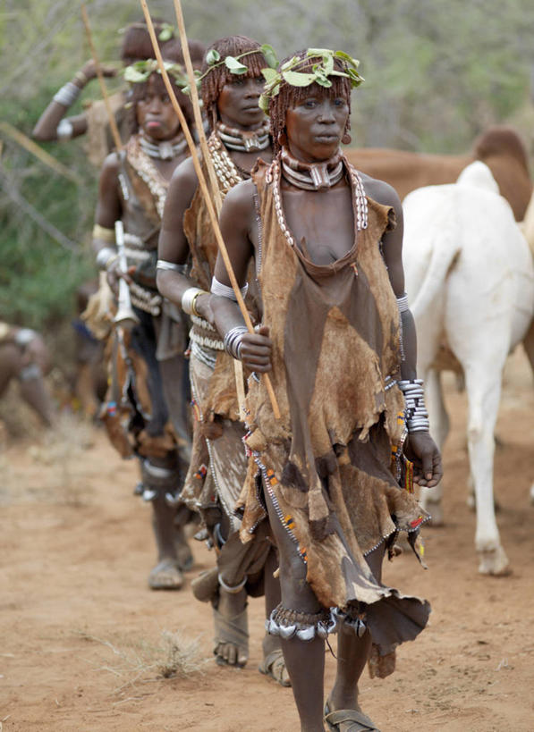 成年人,人群,横图,生产线,彩虹,牛,项链,非洲,埃塞俄比亚,庆祝,装饰,珠子,乐器,皮革,小号,音乐,摄影,手镯,发辫,肖像,典礼,非洲文化,瘤牛,紫贝,女人,非洲人,彩图,传统服装,传统文化
