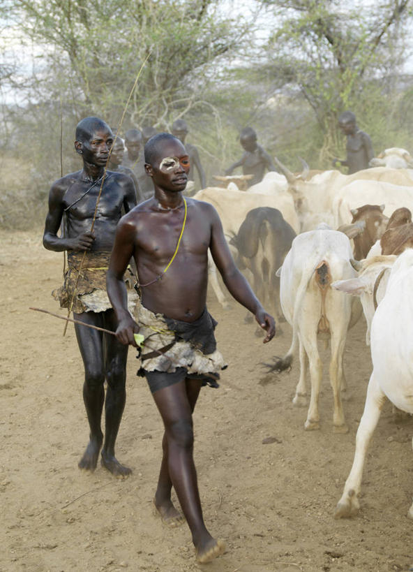 成年人,人群,竖图,生产线,项链,非洲,埃塞俄比亚,庆祝,装饰,珠子,乐器,皮革,小号,音乐,人体,摄影,手镯,发辫,皮肤,肖像,典礼,非洲文化,紫贝,女人,非洲人,彩图,传统服装,传统文化