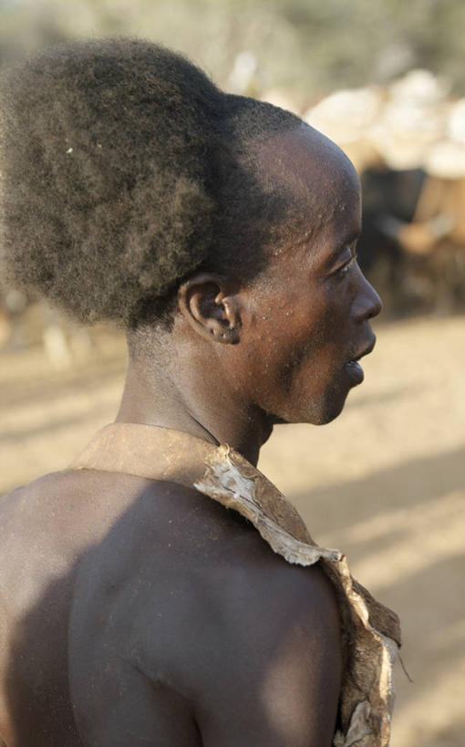 成年人,横图,牛,非洲,埃塞俄比亚,摄影,牲畜,非洲文化,男人,男性,山羊,彩图,传统服装,传统文化