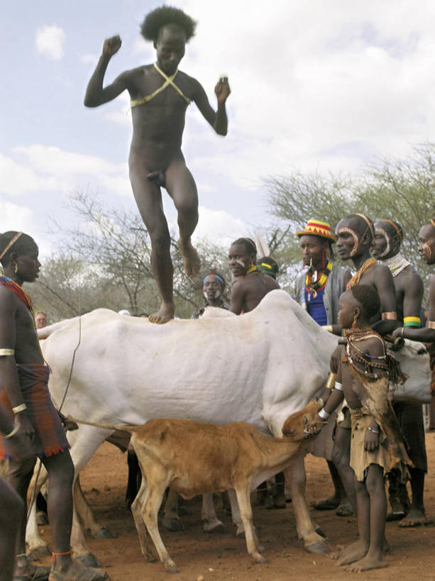 成年人,横图,牛,非洲,埃塞俄比亚,摄影,牲畜,非洲文化,男人,男性,山羊,彩图,传统服装,传统文化