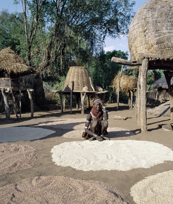 成年人,竖图,室外,农作物,项链,非洲,埃塞俄比亚,束发带,珠子,田地,谷类,黄色,摄影,发辫,收获,谷仓,高粱,非洲文化,耳饰,女人,彩图,传统服装