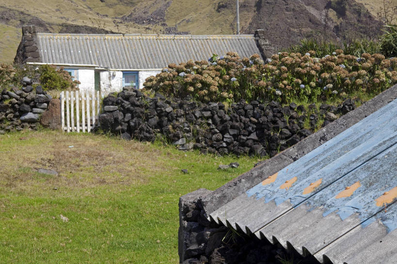 无人,横图,室外,旅游,火山,信天翁,一群,许多,鸟类,标志,岛,很多,摄影,英国文化,盾形徽章,彩图,旅行