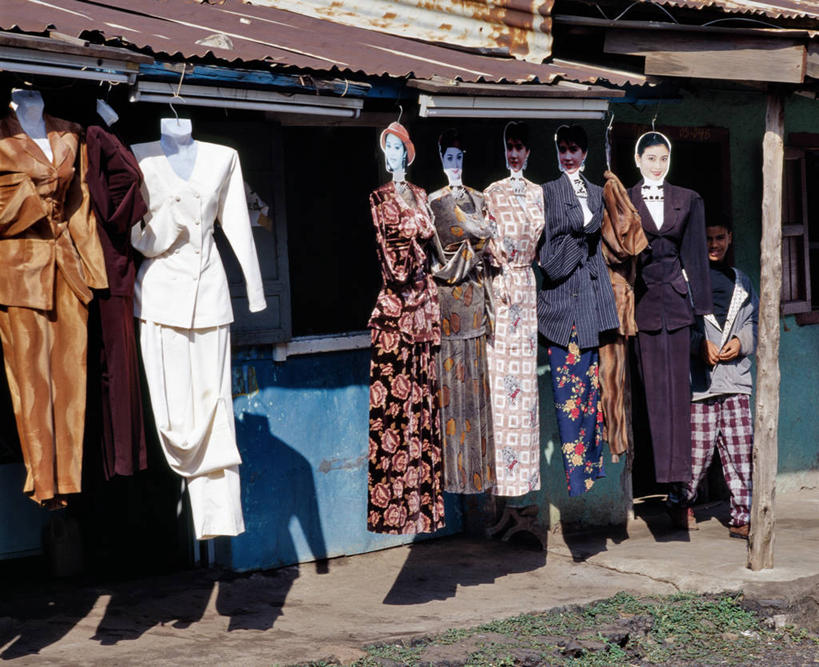 无人,横图,室外,海鸟,野生动物,信天翁,一群,许多,鸟类,鸟巢,悬崖,很多,小鸟,动物,大西洋,摄影,福克兰群岛,黑眉信天翁,彩图,大海鸟