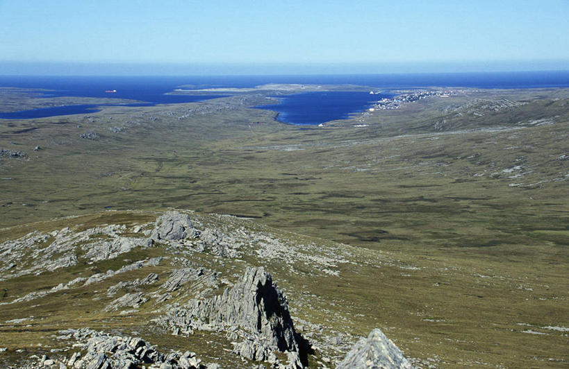 无人,横图,室外,企鹅,一群,许多,鸟类,很多,大西洋,摄影,交配,帝企鹅,福克兰群岛,海滩,彩图,爱,动物行为