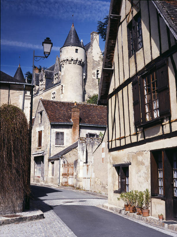 无人,竖图,建筑,蜥蜴,法国,欧洲,破碎,符号,城堡,房屋,着陆,破坏,破损,废墟,摄影,粉碎,损坏,住房,毁坏,豪宅,法国文化,摧毁,彩图