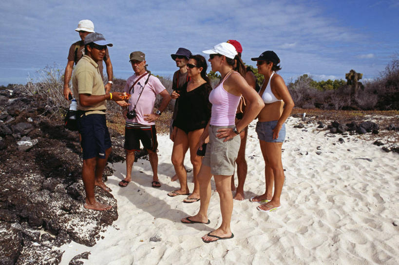 无人,横图,水,野生动物,厄瓜多尔,透明,鱼类,自然,动物,摄影,考古学,魟鱼,加拉帕戈斯群岛,彩图