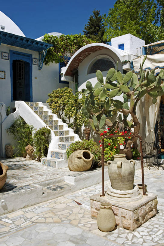 无人,竖图,室外,仙人掌,非洲,突尼斯,房屋,庭院,首都,北,摄影,销售,贩卖,北非,广口瓶,阿非利加洲,突尼斯共和国,突尼斯市,彩图,旅行,突尼斯省