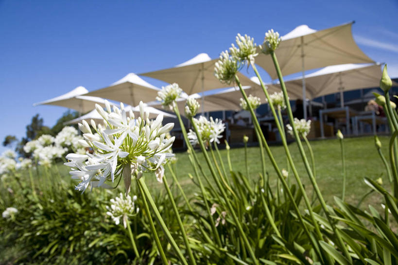 无人,码头,横图,海洋,水,船,澳大利亚,停靠,运输,摄影,停泊,客船,华贵,塔斯马尼亚,休闲活动,彩图,旅行,双体船