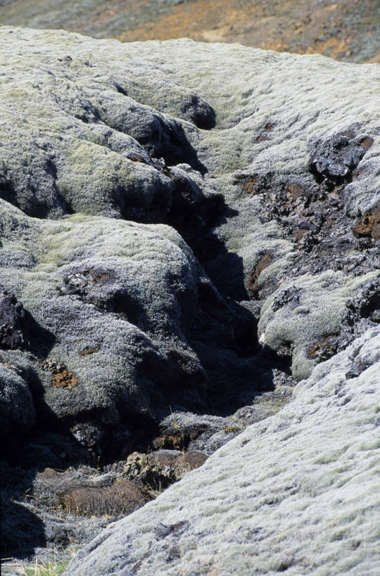 无人,竖图,室外,火山,植物,地毯,覆盖,苔藓,灰色,自然,摄影,岩石,彩图