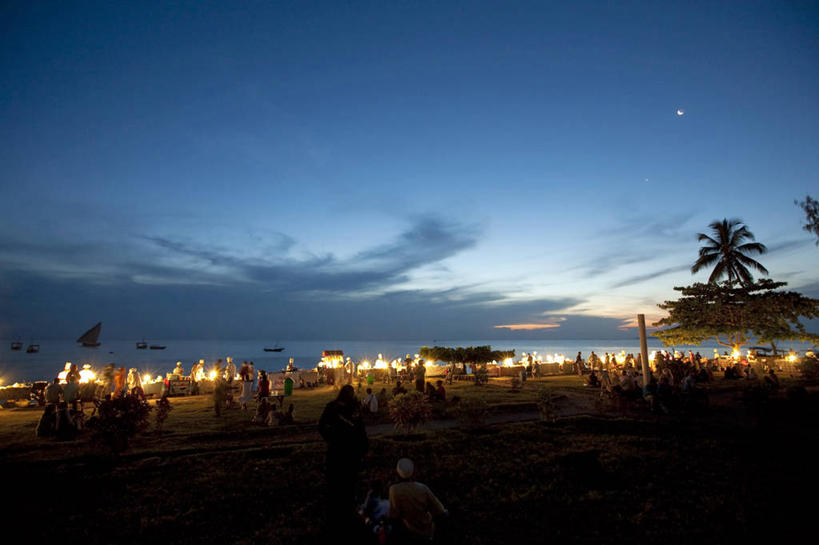 无人,横图,室外,北极,日落,森林,松树,瑞典,阴影,冬天,树,安静,寒冷,摄影,宁静,常绿树,松木,针叶树,彩图